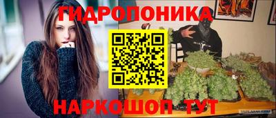 Альфа ПВП Гудермес