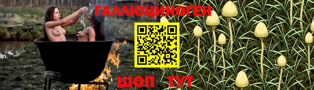 Галлюциногенные грибы Psilocybine cubensis  Вход с VPN  закладка  Всеволожск 